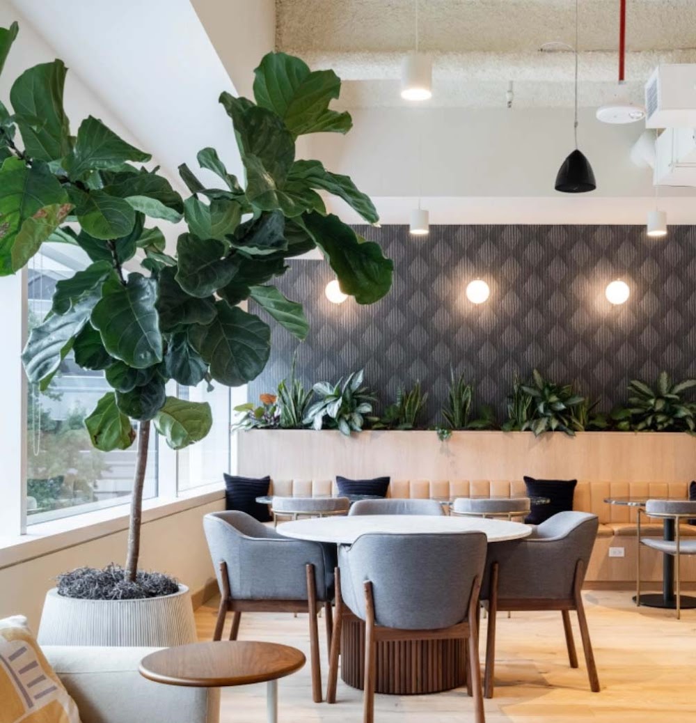 Tamou Law Group – Arizona Criminal Defense & DUI Lawyers